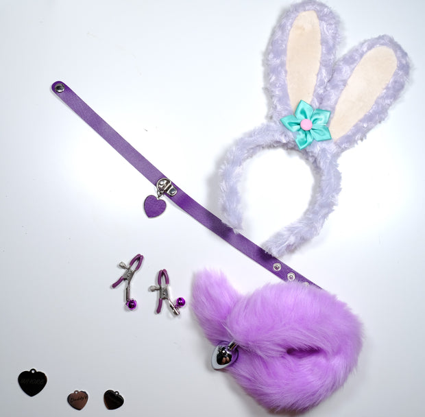 Purple Rabbit Pet Play Starter Set
