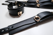 Luxury Fetish BDSM Bondage Set
