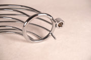 Chastity Cage With Anal Hook