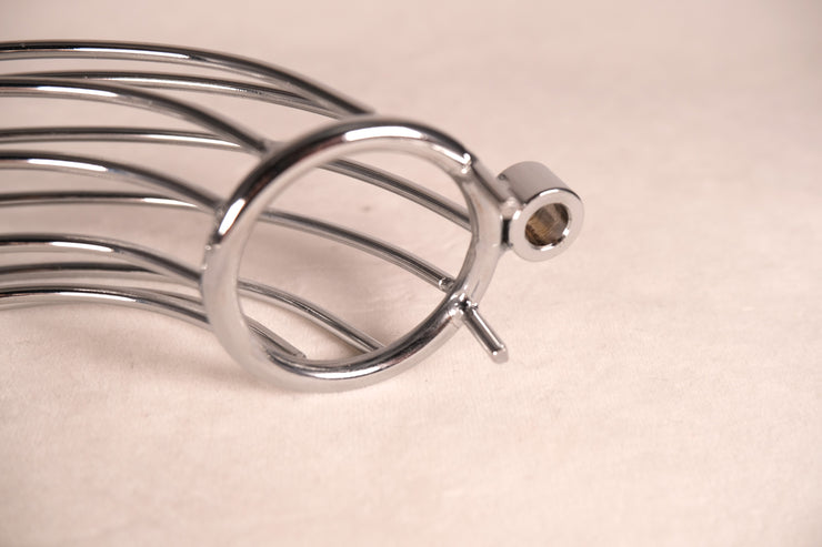 Chastity Cage With Anal Hook