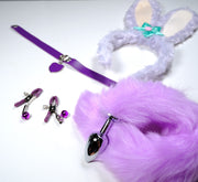 Purple Rabbit Pet Play Starter Set