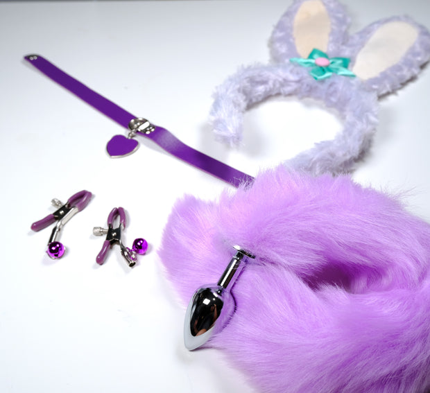 Purple Rabbit Pet Play Starter Set