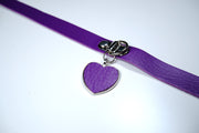 Purple Rabbit Pet Play Starter Set