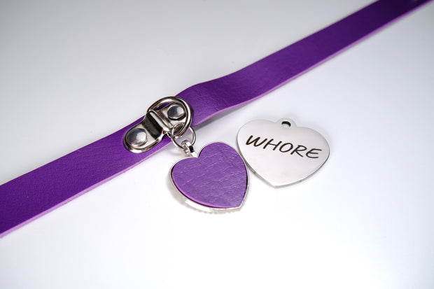 Purple Rabbit Pet Play Starter Set