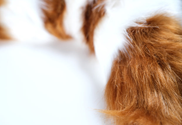 Brown Lolita Cosplay Wolf Ear Kit Cat Cosplay Costume Accessories
