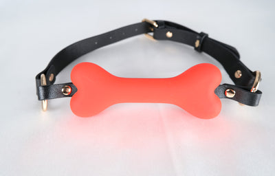 Silicone Dog Bone Gag