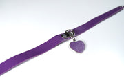 Purple Bule Heart Pet Play Set