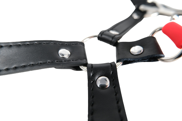 Mouth Ball Gags With Nose Hook