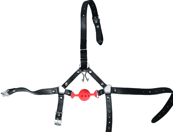 Mouth Ball Gags With Nose Hook