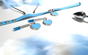 Blue Heart Pet Play Set