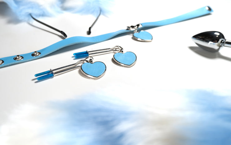 Blue Heart Pet Play Set