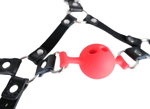 Mouth Ball Gags With Nose Hook
