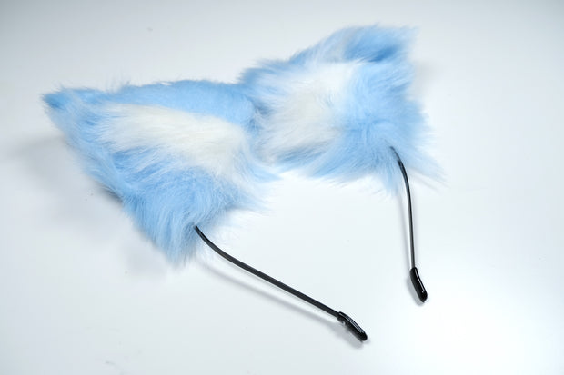 Blue Heart Pet Play Set