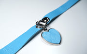 Blue Heart Pet Play Set