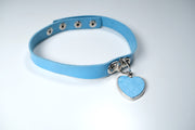 Blue Heart Pet Play Set