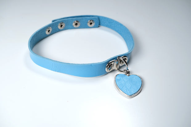 Blue Heart Pet Play Set