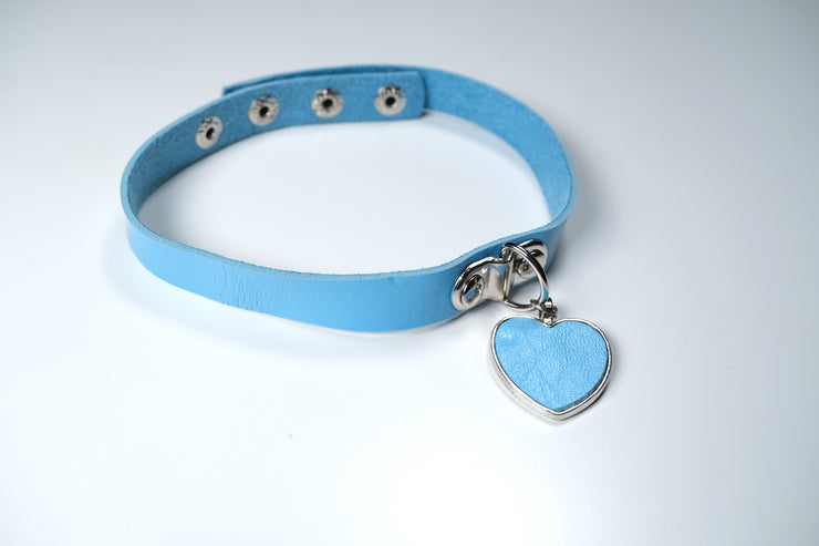 Blue Heart Pet Play Set