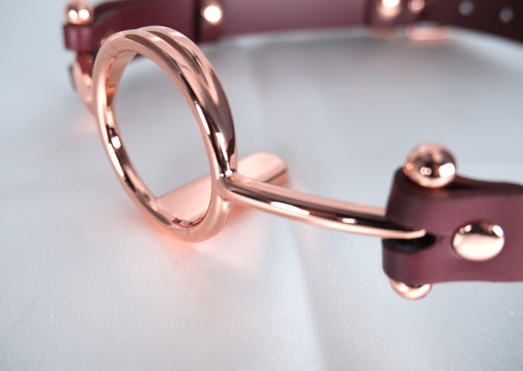 Rose Gold Imprisoned Tongue Gag Deep