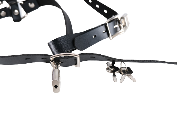 Steel Ball Gags Harness Lockable