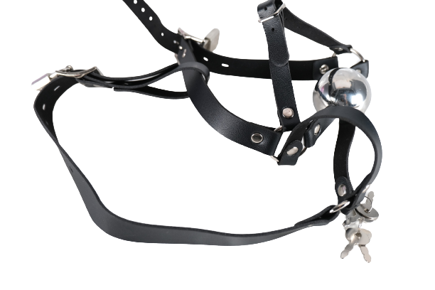 Steel Ball Gags Harness Lockable