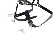 Steel Ball Gags Harness Lockable