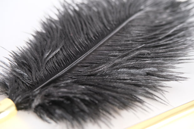 Luxurious Ostrich Feather Tickler and Metal Chain Tickler