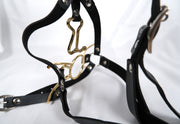 Open Mouth Gags With Nose Hook