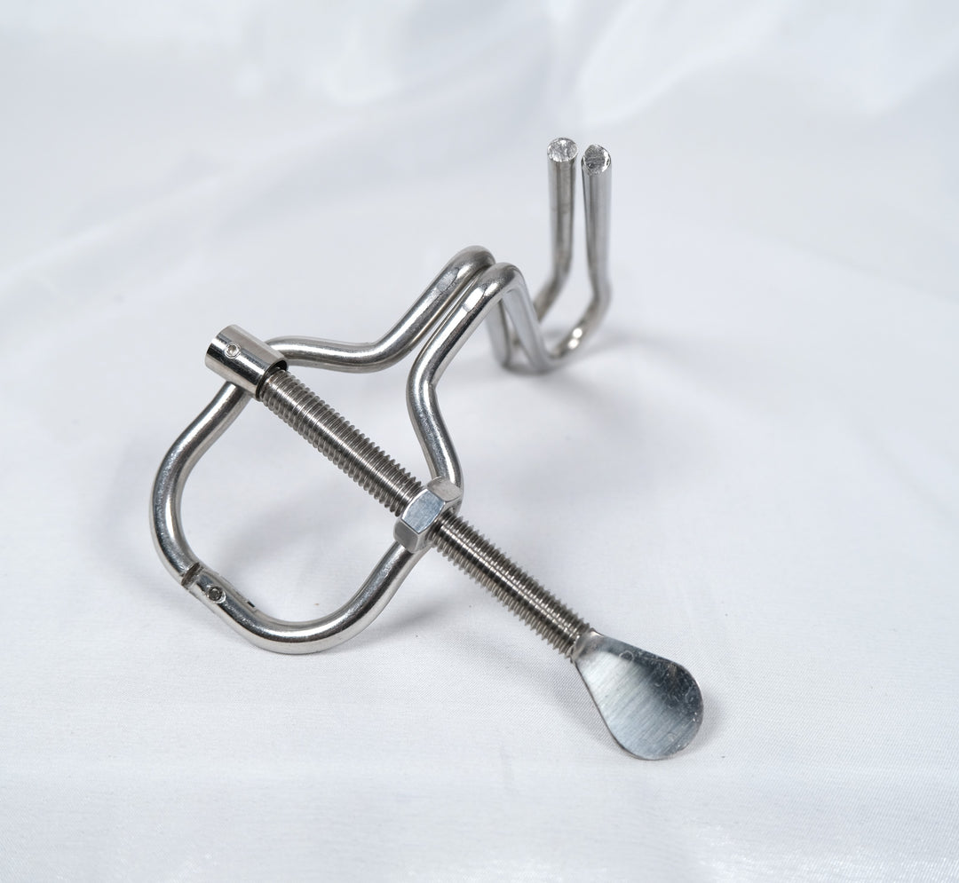 Ass Speculum Anal Stretching Plug Butt BDSM Spreader Vagina Spreader   LoveOrigin
