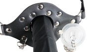 Open Mouth Gag With Transparent Cover