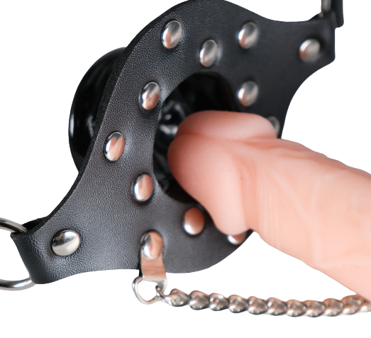 Open Mouth Gag With Transparent Cover
