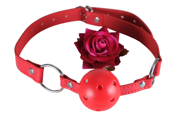 Solid Ball Gag For Mouth