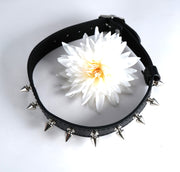 Metal Spike Studded Collar Choker Necklace