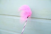Feather Flirting Tickler Whip