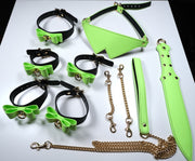 Fluorescence  BDSM Restraints Kit