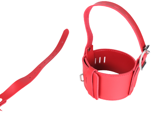 Leather High Heel Shoe Locks Straps