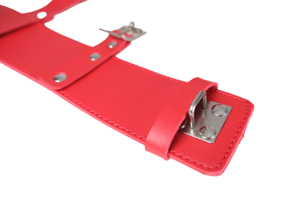 Leather High Heel Shoe Locks Straps