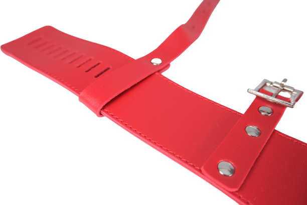 Leather High Heel Shoe Locks Straps