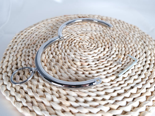 Stainless Steel Lockable Collar