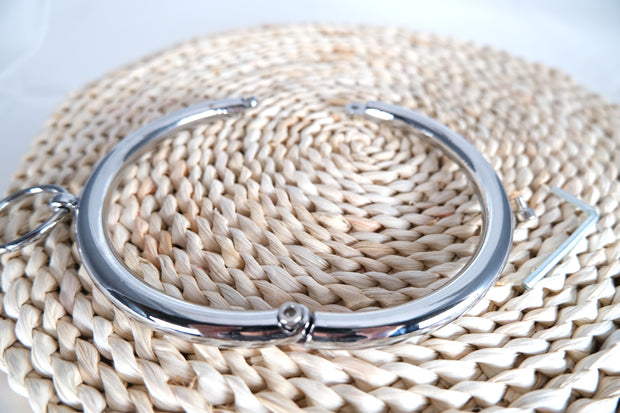 Stainless Steel Lockable Collar