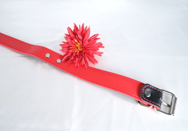 Leather Collar with Chain