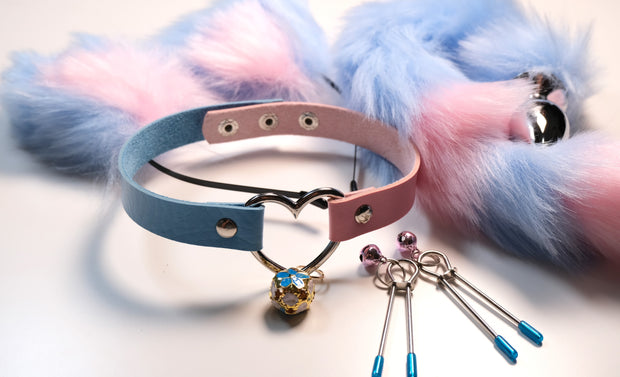 Blue Pink Pet Play Bell Sex Toys Set