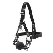 Mouth Ball Gags With Nose Hook