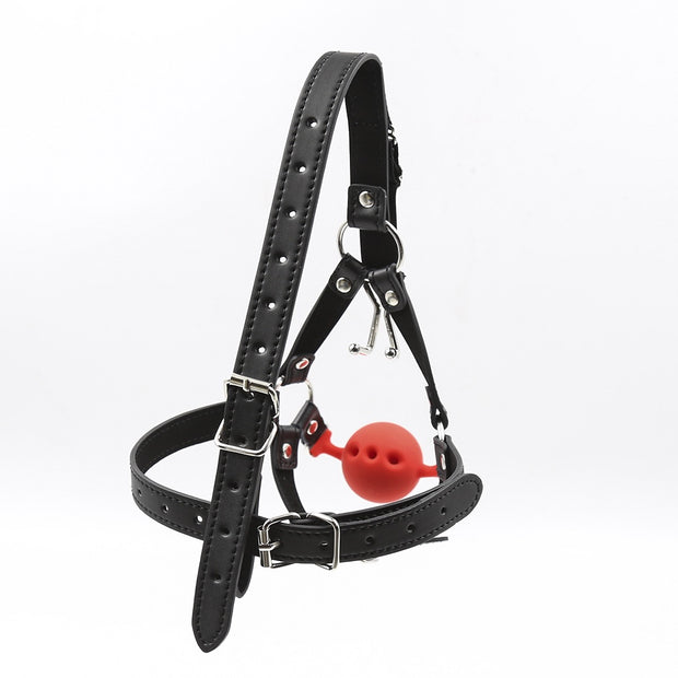 Mouth Ball Gags With Nose Hook