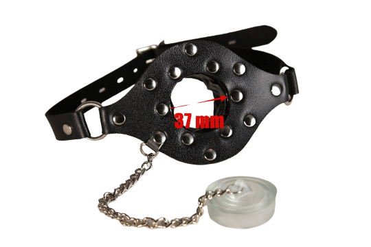Open Mouth Gag With Transparent Cover