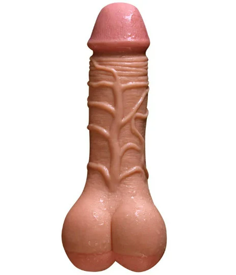 Penis Extension and Realistic Masturbator